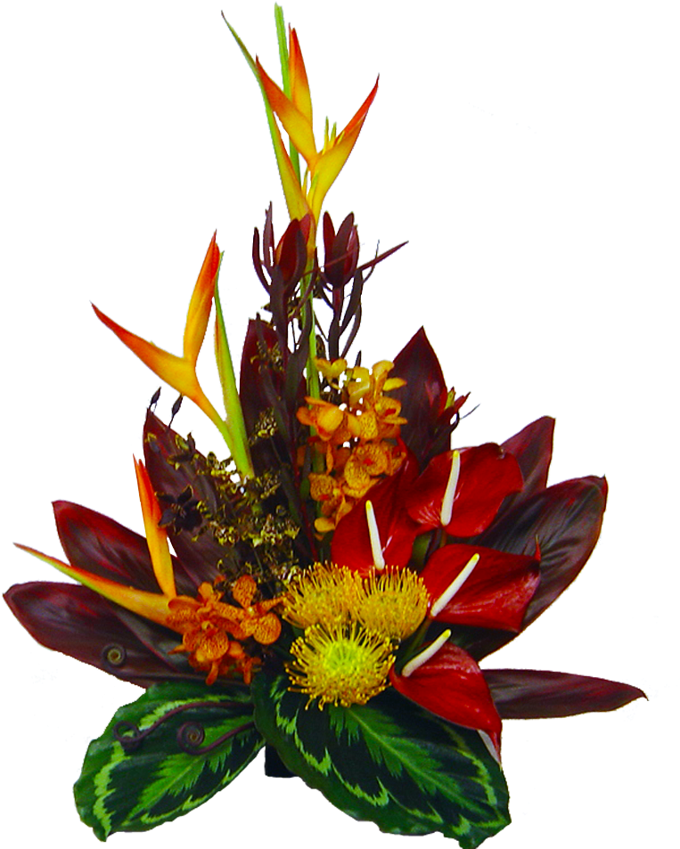 50 Previous Next - Flower (1200x1200)