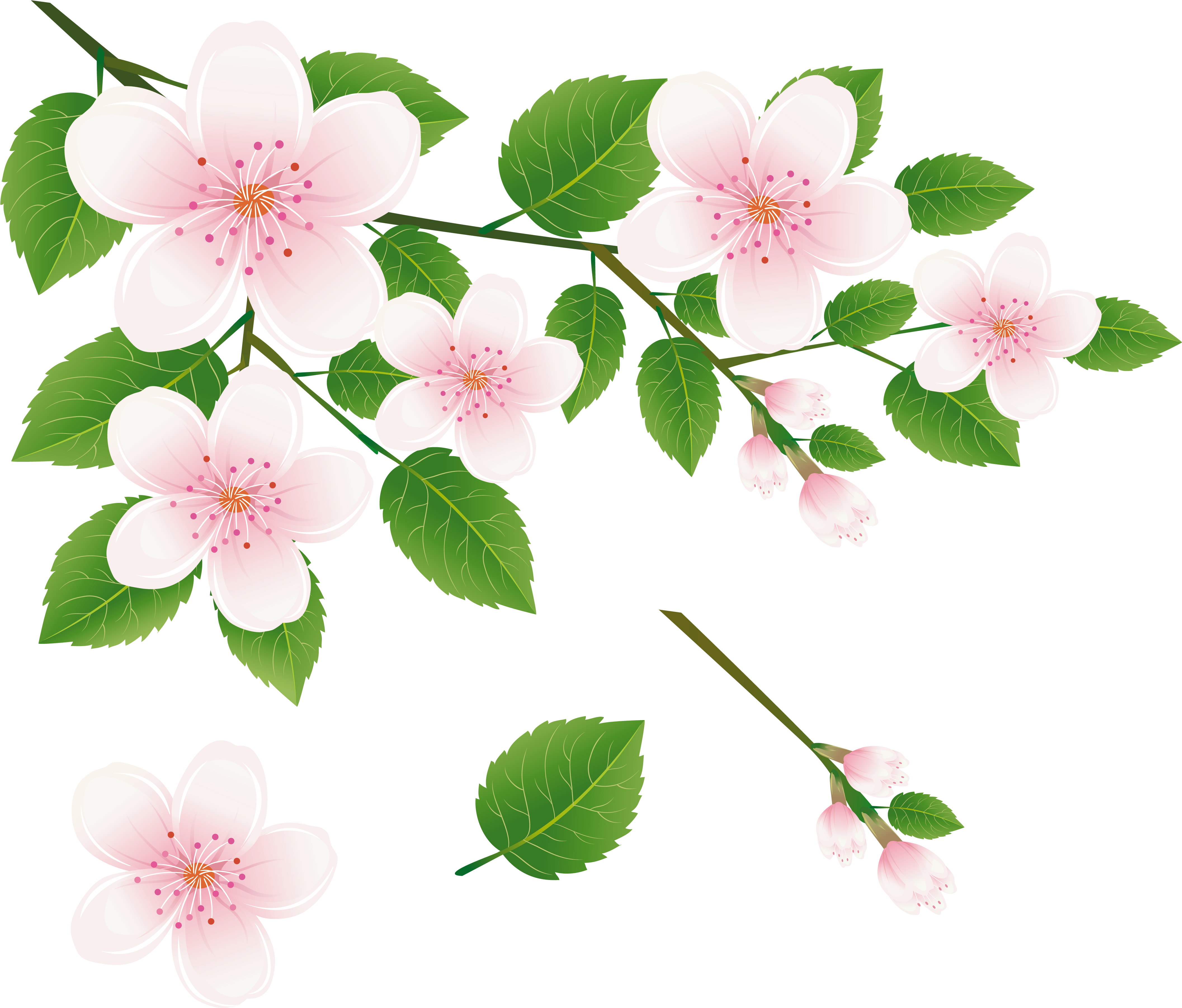 Tree Clipart Brunch - گل خشک بدون پس زمینه (4346x3731)