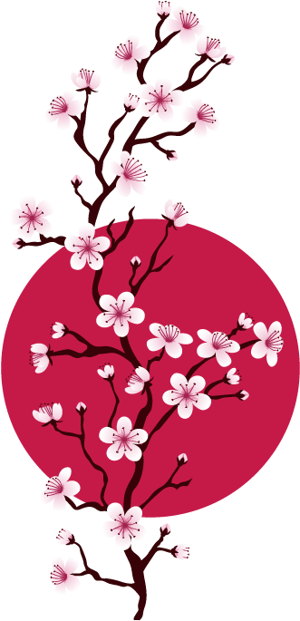Wall Colour - Lock Screen Cherry Blossom (374x684)