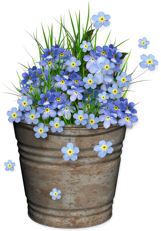 Flower (536x779)