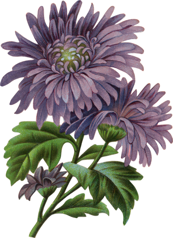 Arte - Flower (580x800)