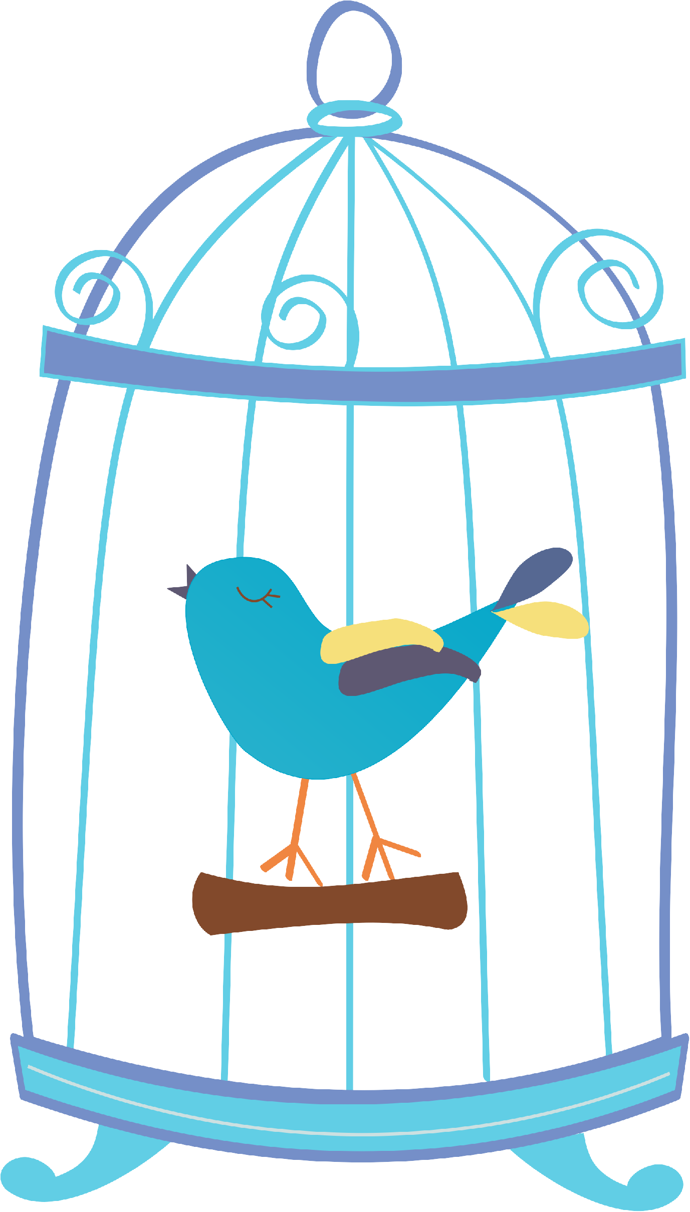 Birdcage6 - Birdcage6 (1377x2419)