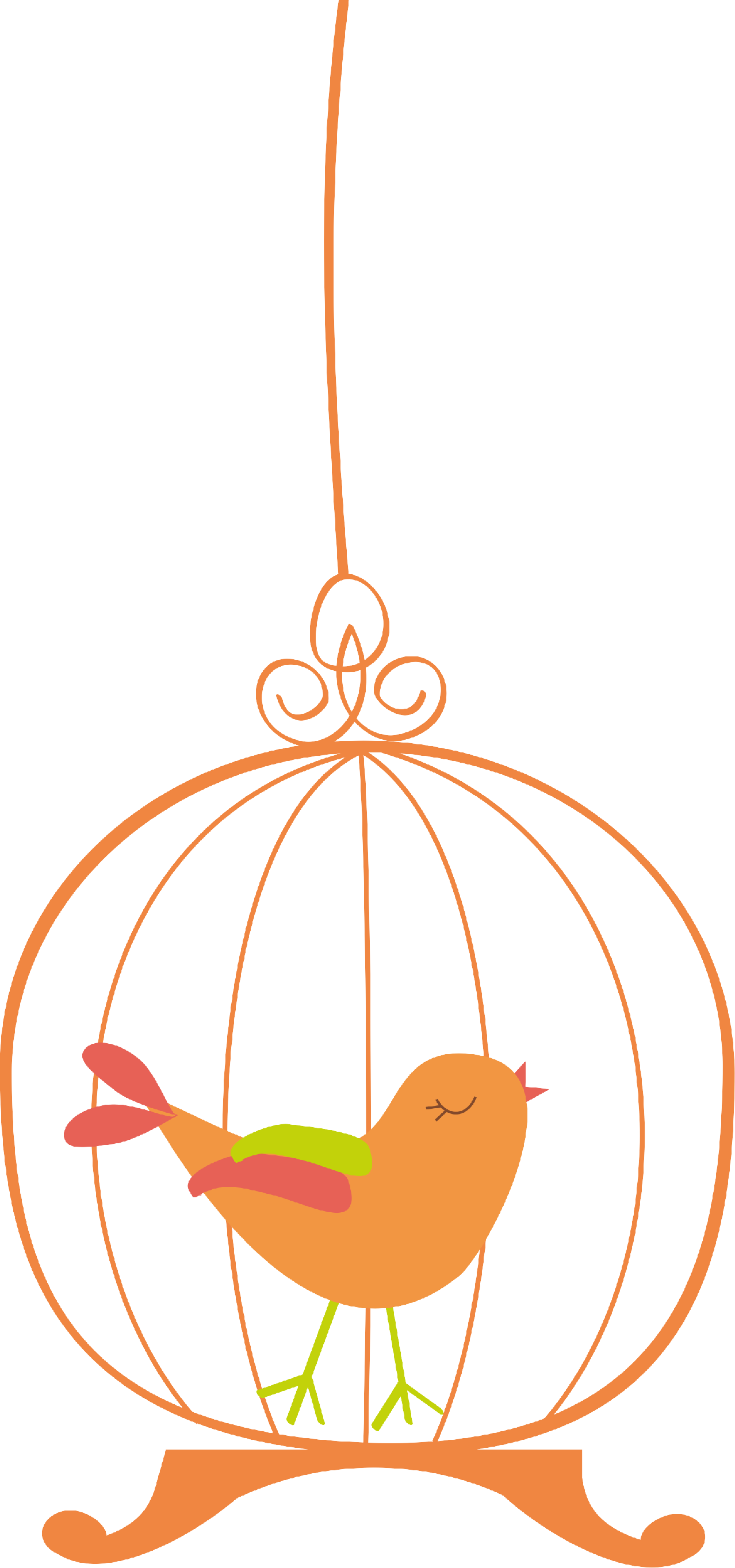 Birdcage5 - Birdcage5 (1278x2728)