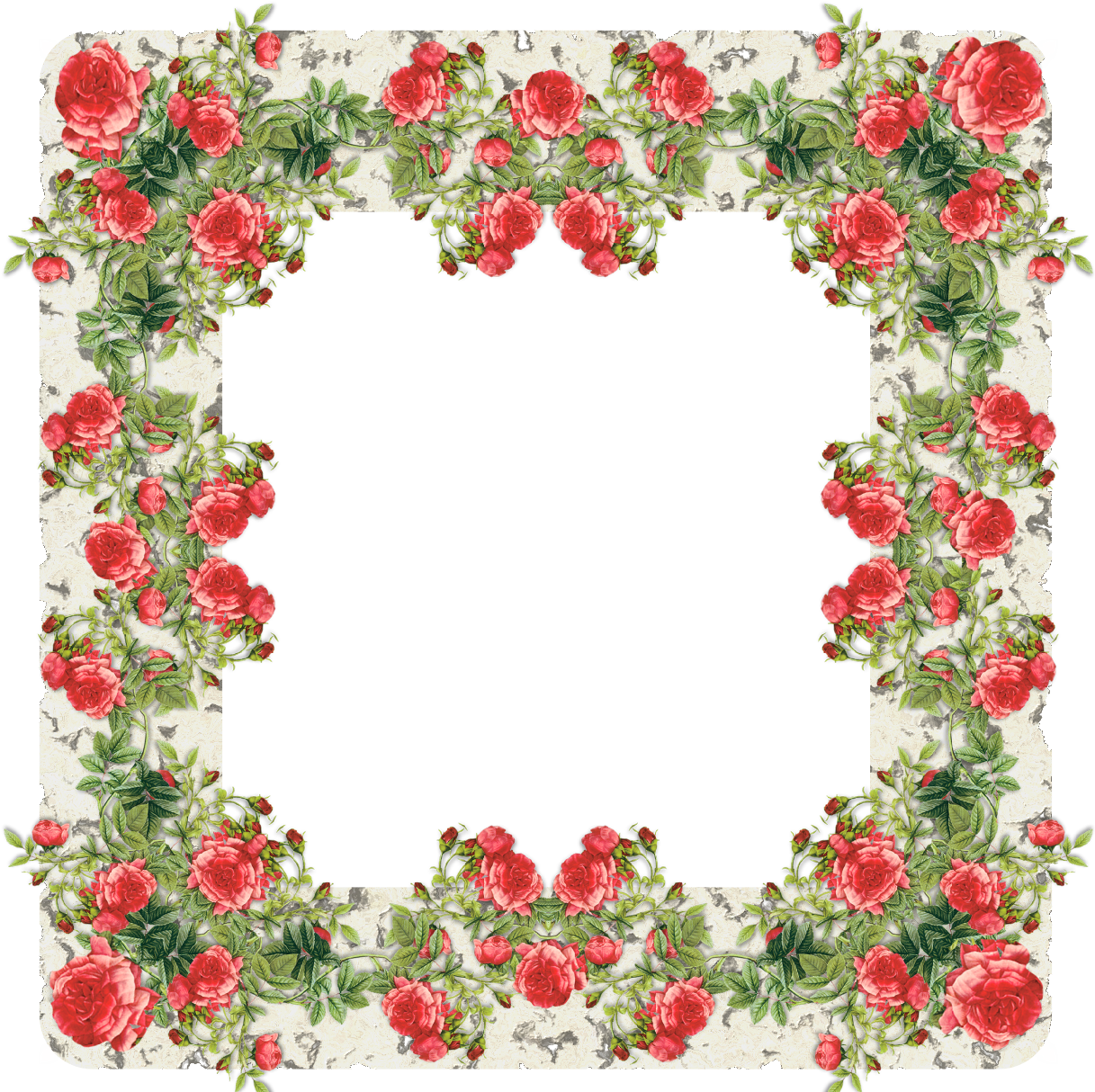 Rose Frame - Rose Frame (1231x1231)