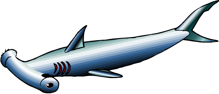 Hammerhead Shark - Hammerhead Shark (750x323)