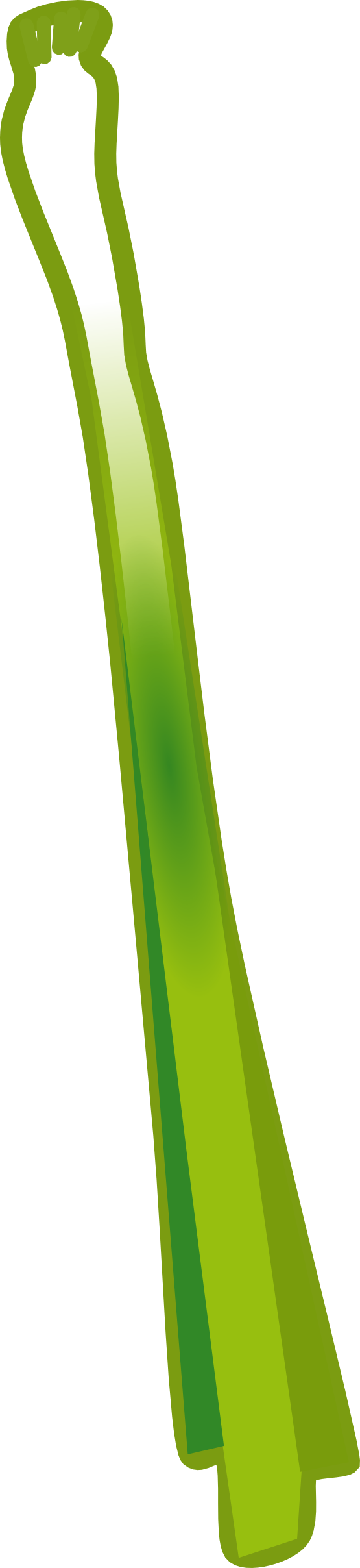 Leek Clipart - - Vegetable (555x2415)