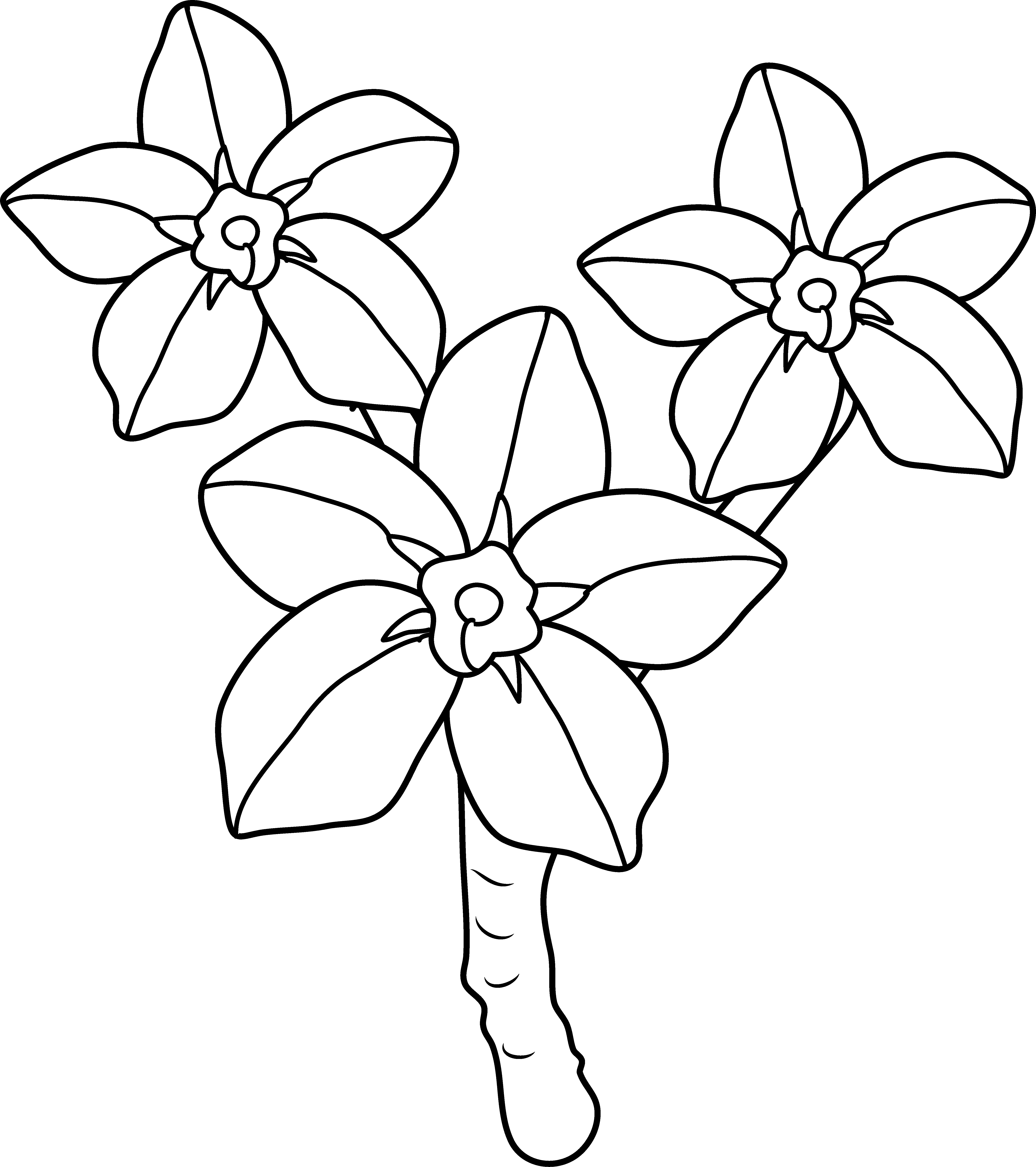 Clip Art (5589x6296)