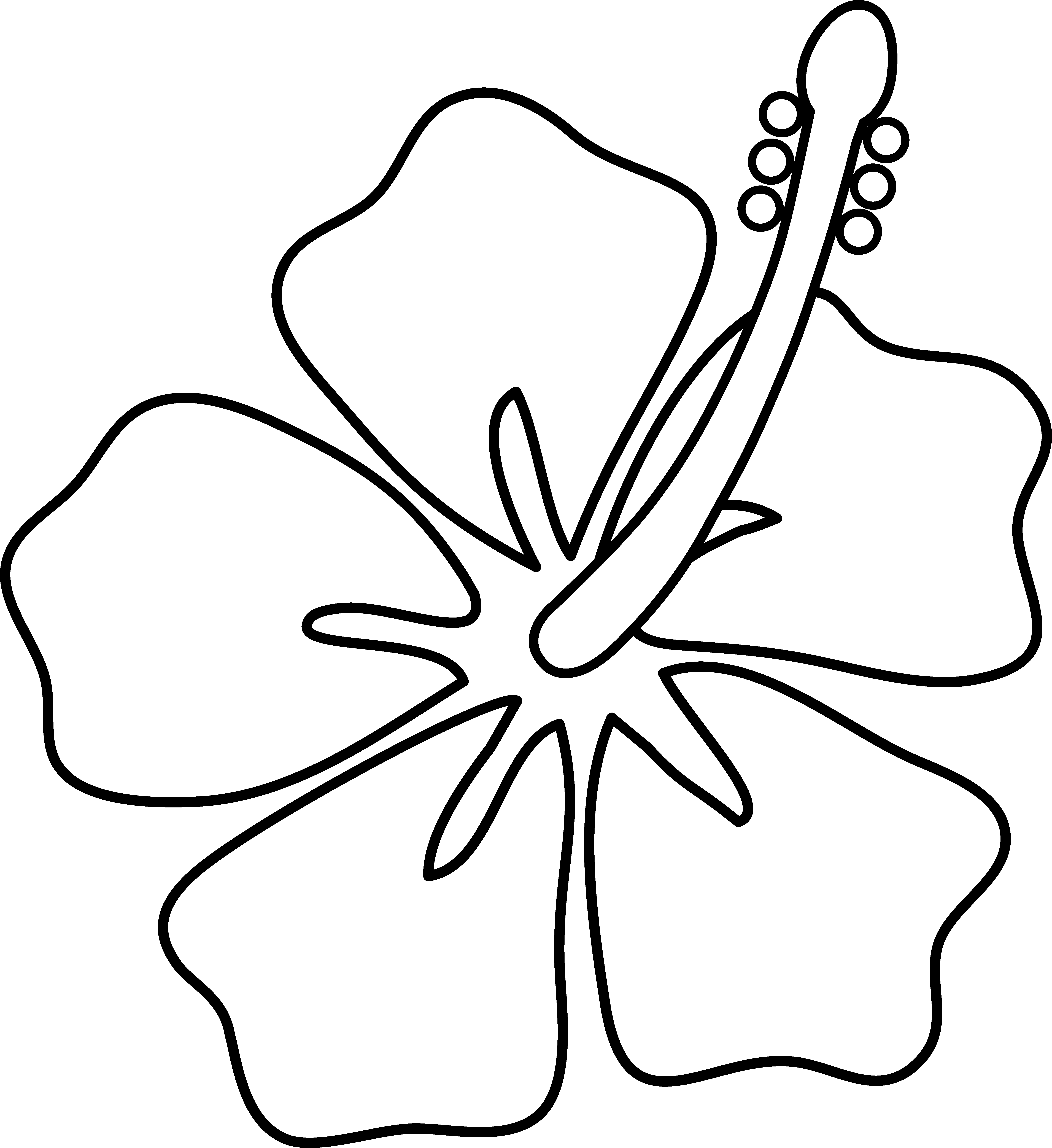 Easy To Draw Flowers (5922x6462)