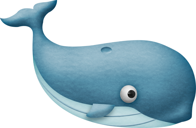 Craft - Shark (800x523)