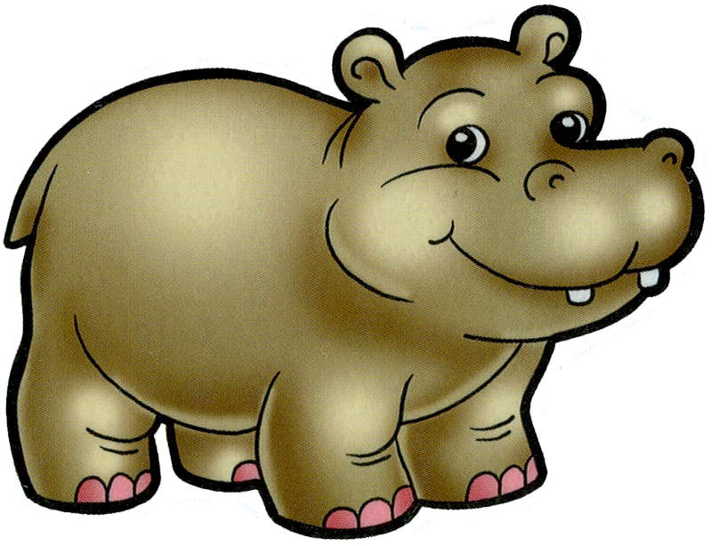 Z - Hippopotamus (800x614)