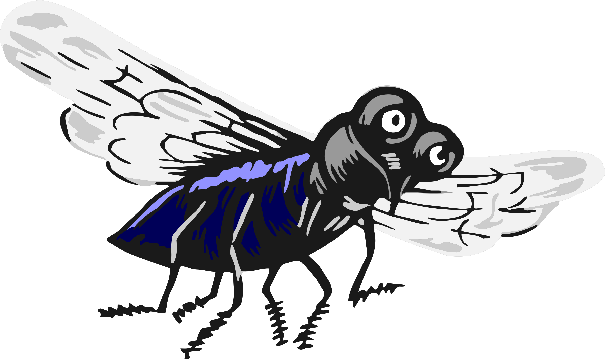Fly 5 - Icon (2400x1426)