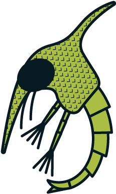 Zoe Larva - Android (469x469)