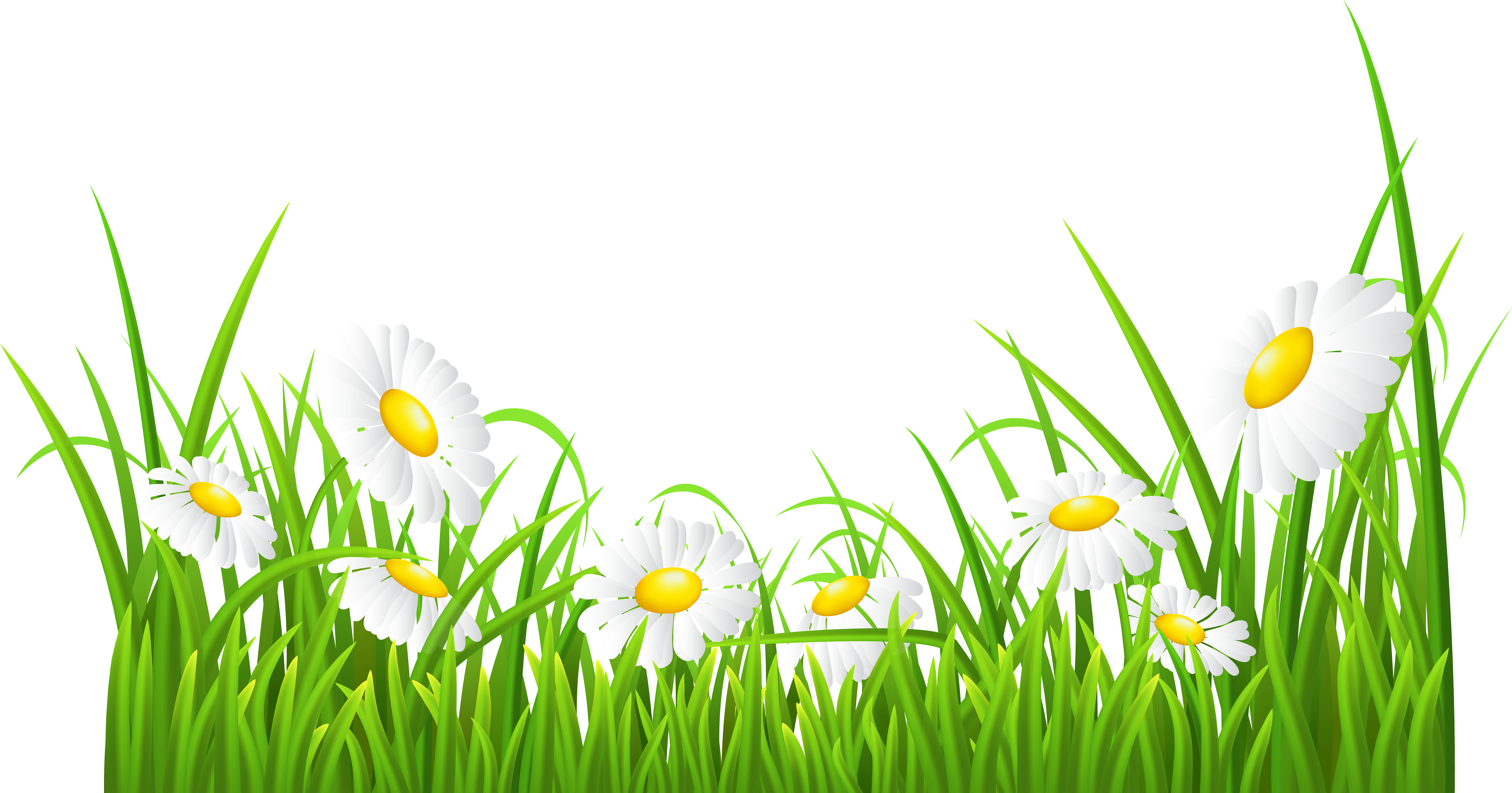 Montessori Background (8000x4215)
