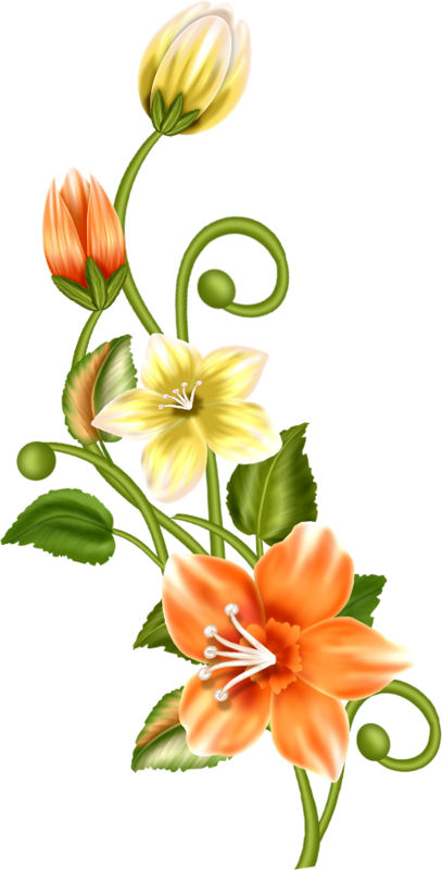 Couleurs - Flower (407x800)