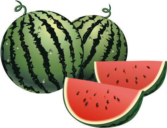 Watermelon Vector (600x600)
