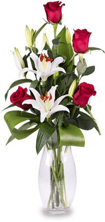 Flower (480x480)