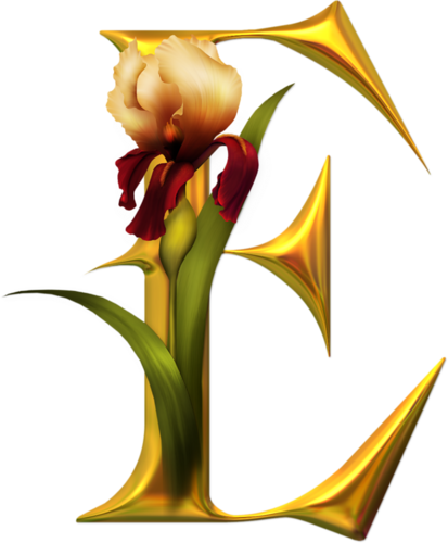 Alpha Iris - Flower Alpha Bets (413x500)