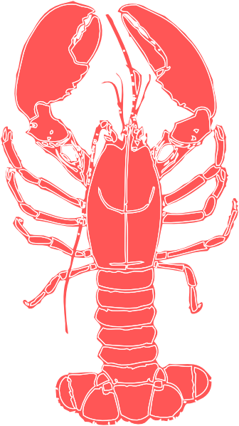 Lobster Stencil - - Show Me The Lobster! - Cool Maine Lobster Graphic Framed (336x598)