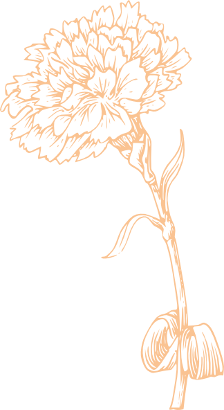 Carnation Vector - Marigold Black And White (324x592)