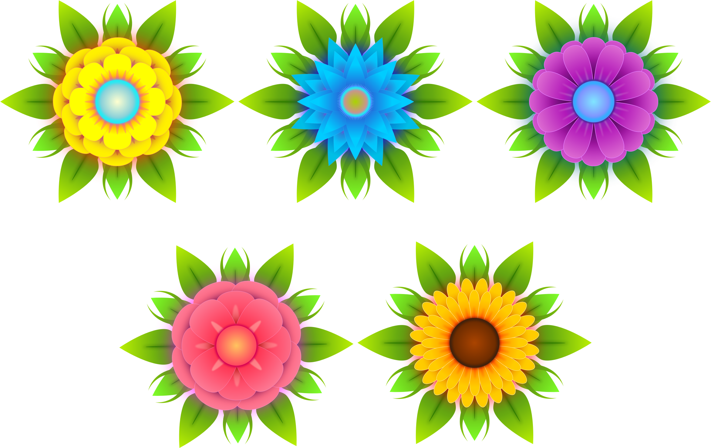 Medium Image - Medium Image (2344x1478)