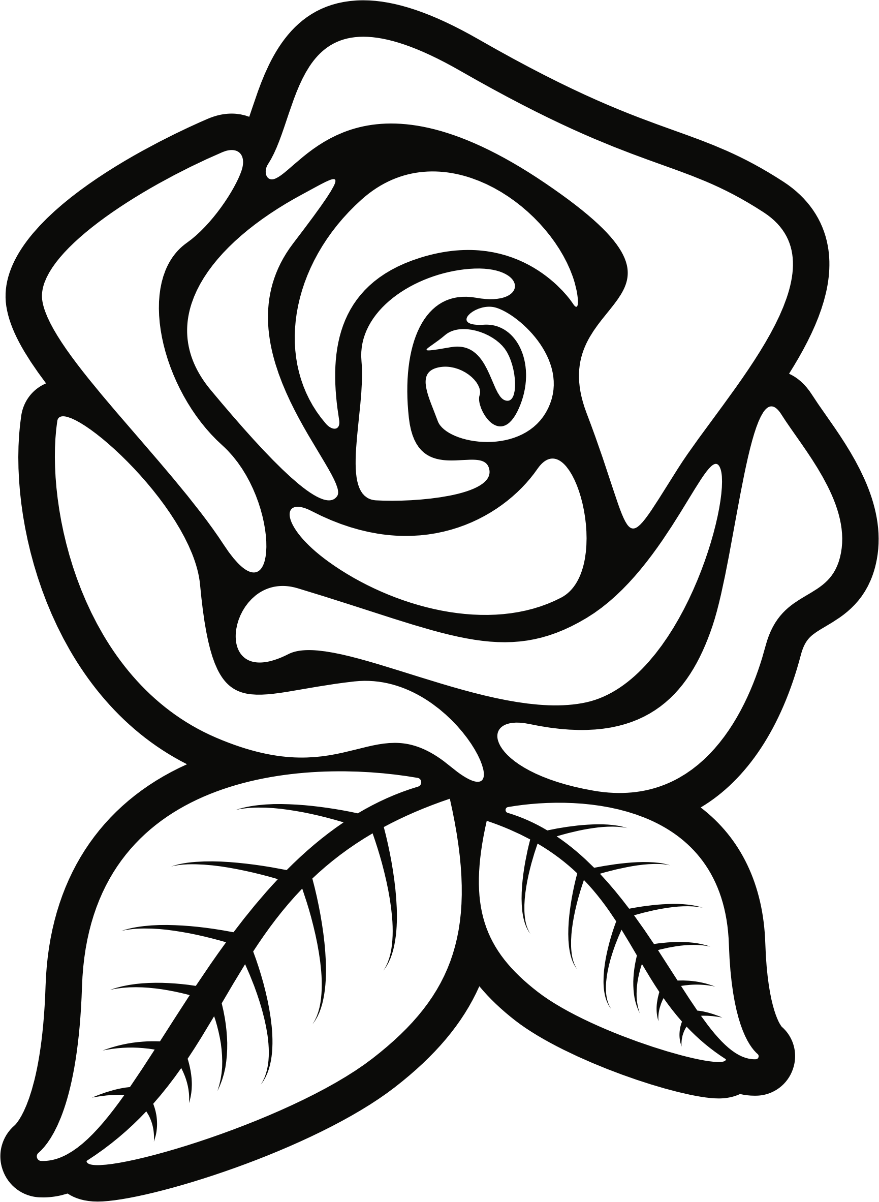 Big Image - Rosa Vettoriale (1730x2365)