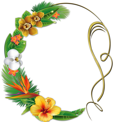Tropical - Teth (500x500)