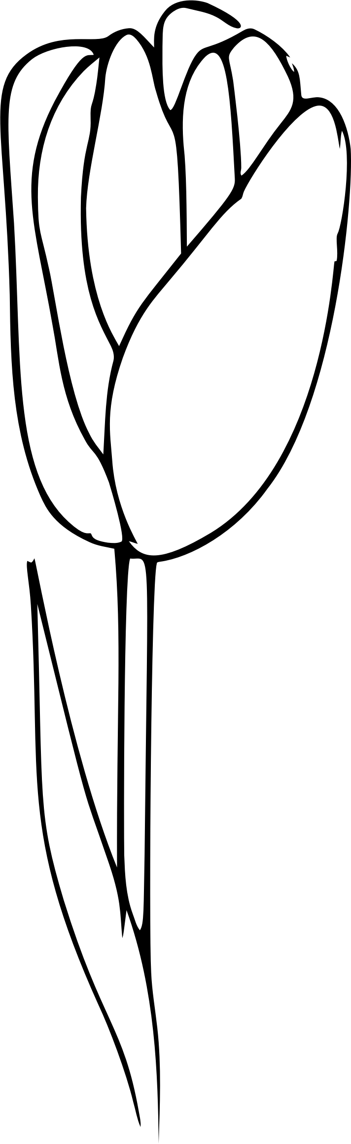 Big Image - Big Image (712x2320)
