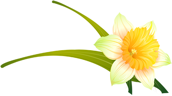 Tubes Fleurs - Flower (555x555)