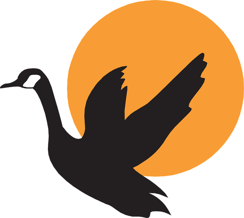 Flying Parrot Clipart 14, - Goose Vector (804x720)