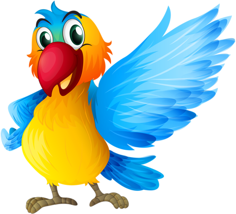 13 - Four Parrots Cartoon (500x466)