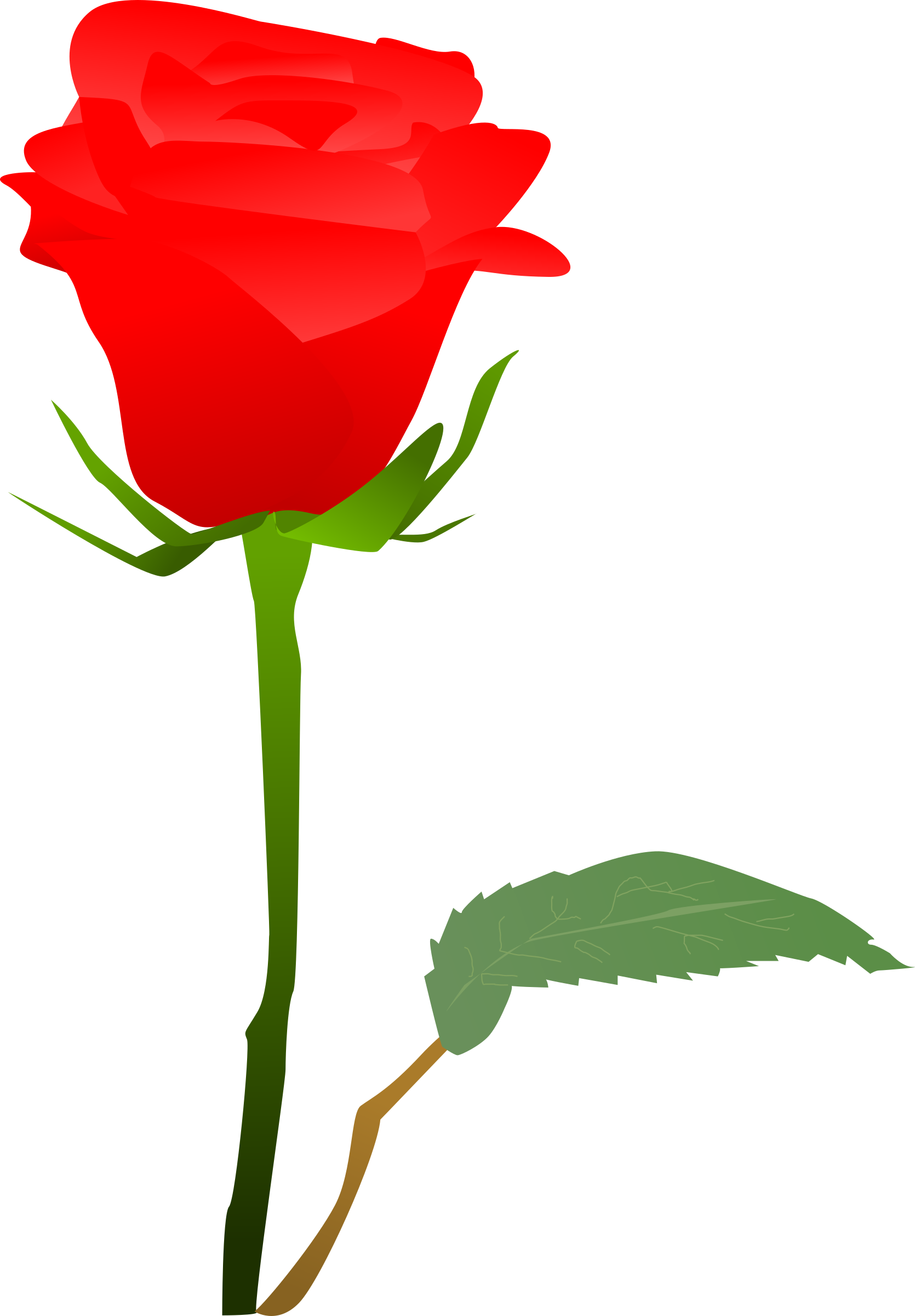 Big Image - Garden Roses (1670x2400)