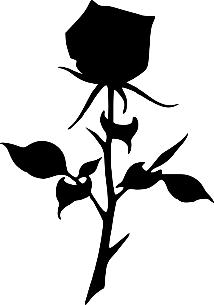 Roses Silhouette - Rose (719x1024)