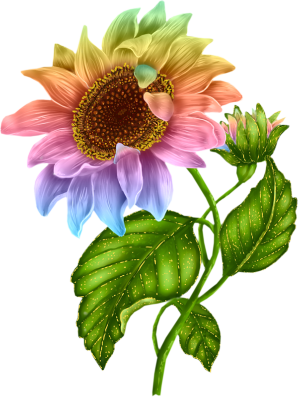 Purple Sunflower (600x799)
