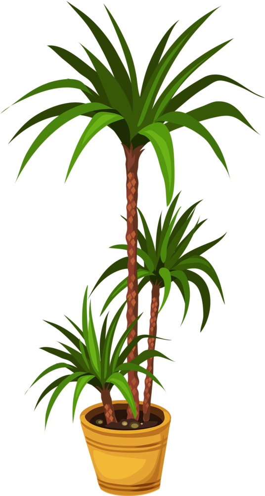 Flower (535x1024)