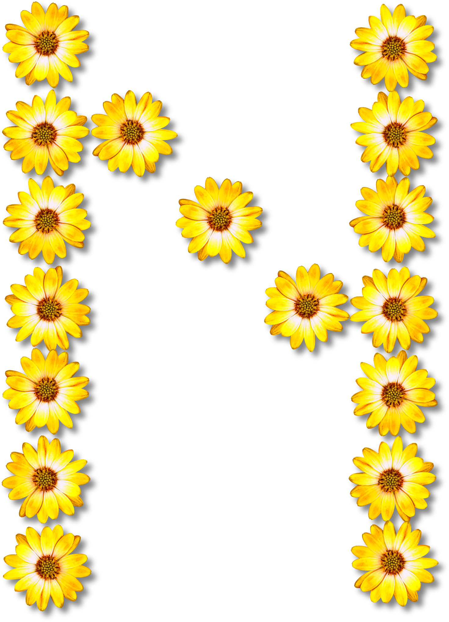 Big Image - Big Image (1717x2400)