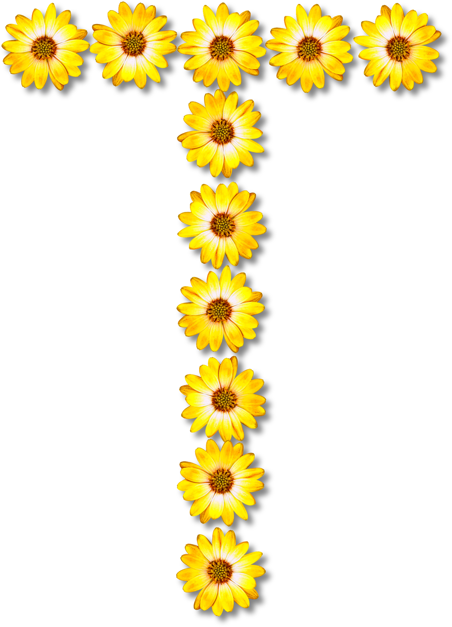 Big Image - Big Image (1717x2400)