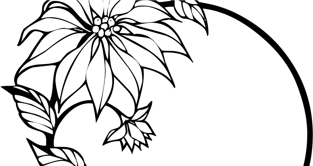 Black & Whiteflower Art (1079x566)