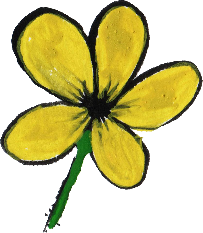 Free Download - Honeysuckle (832x955)