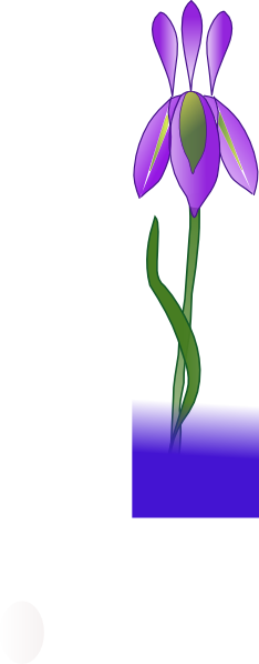 Iris - Clipart - Portable Network Graphics (234x598)
