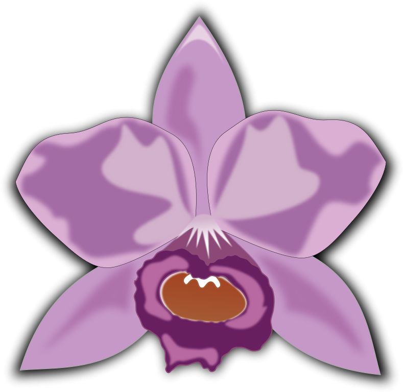 Clip Art (800x800)