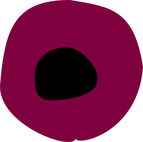 Circle (600x596)