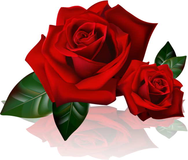 4444130 - Two Red Roses Clipart (650x554)