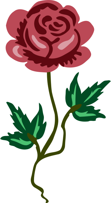 Medium Image - Medium Image (1316x2400)