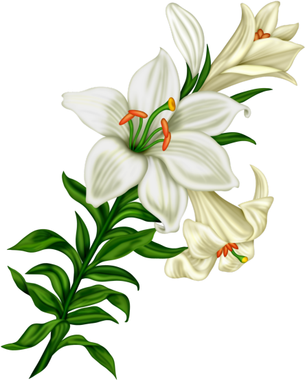 Clip Art (470x600)
