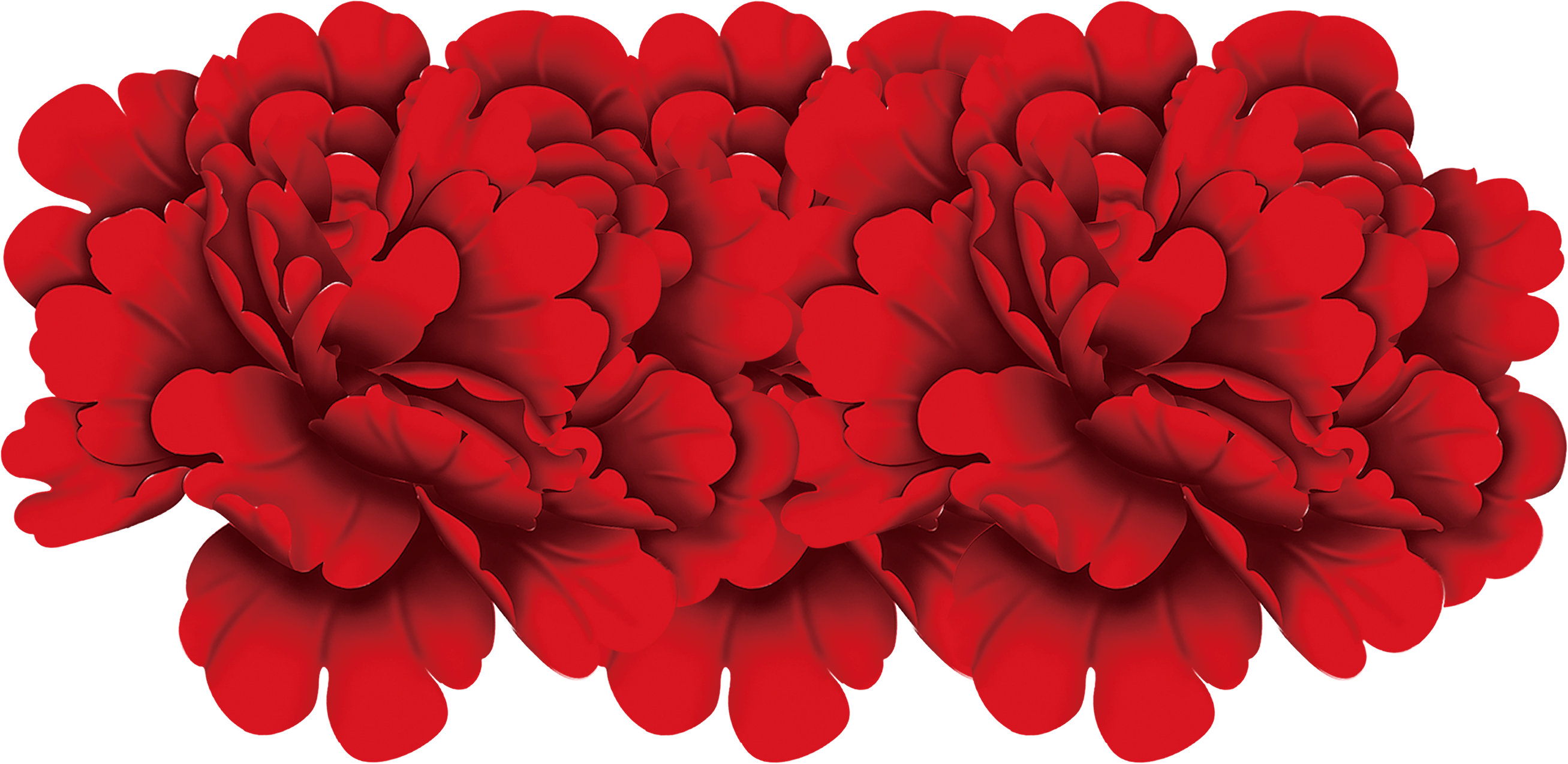Red Peony Material - Peony (2615x1274)