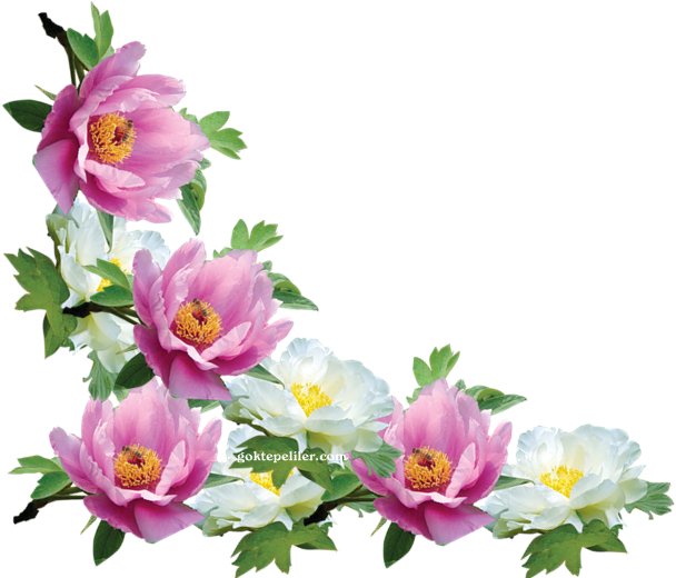 Göktepeliler - Drawing (616x519)