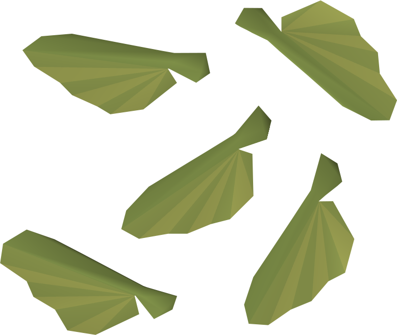 Maple Seed - Maple Seed (778x656)