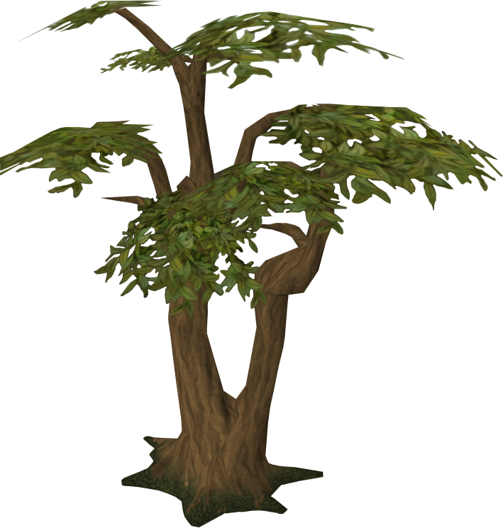 Tree - Jungle Tree Transparent (709x744)