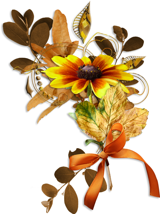Black-eyed Susan (553x708)