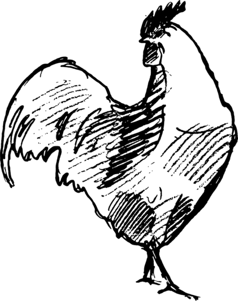 Handsome Rooster Rubber Stamp - Free Range (475x600)